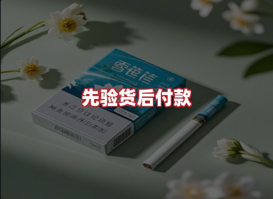 专业团队
